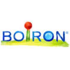 BOIRON HOMEOX              60CPR